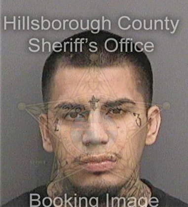 Alex Figueroagonzalez, - Hillsborough County, FL 