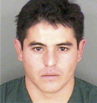 Anthony Hernandezpena, - Collier County, FL 