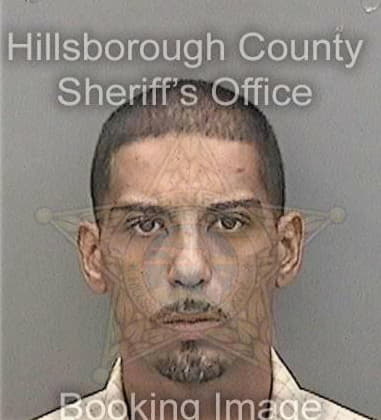 Jeremy Lapuyade, - Hillsborough County, FL 