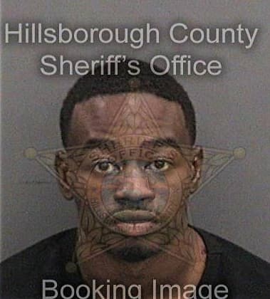 Joshua McKinney - Hillsborough County, FL 