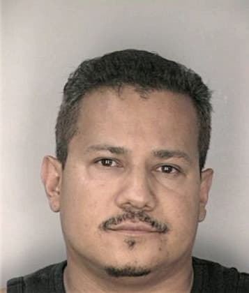 Damir Ortizgonzalez, - Hillsborough County, FL 