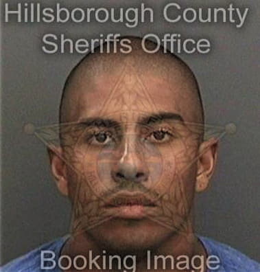 Damian Ash, - Hillsborough County, FL 