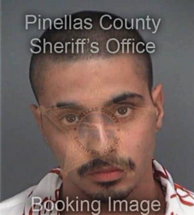 Eric Garcia, - Pinellas County, FL 