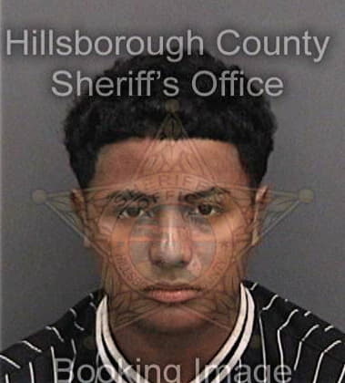 Samuel Genovese, - Hillsborough County, FL 