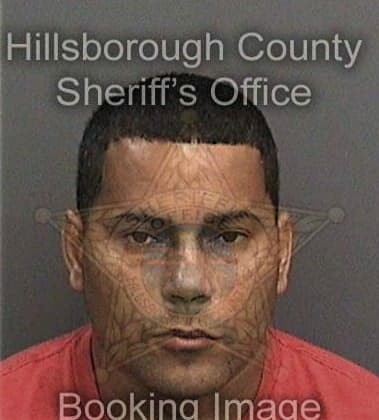 Christopher Stein, - Hillsborough County, FL 