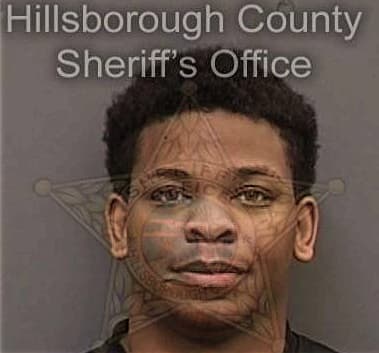 Shawn Bulmer, - Hillsborough County, FL 