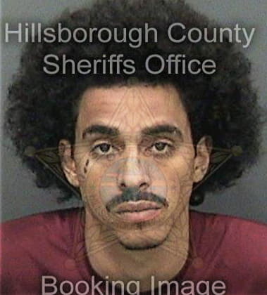 David Colston, - Hillsborough County, FL 