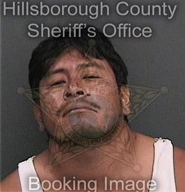 Juan Garutti, - Hillsborough County, FL 