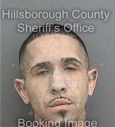 Andre Lyons, - Hillsborough County, FL 