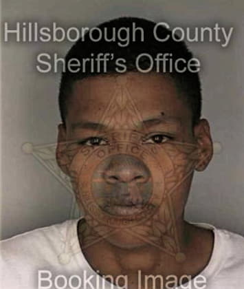 Christopher Mays - Hillsborough County, FL 