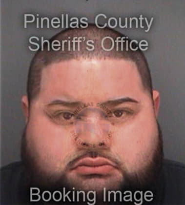 Ruben Pushiana, - Pinellas County, FL 