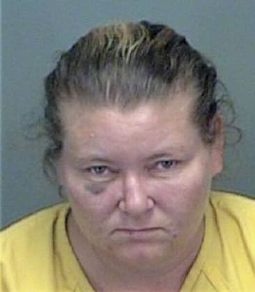 Jamie Simpson - Pinellas County, FL 