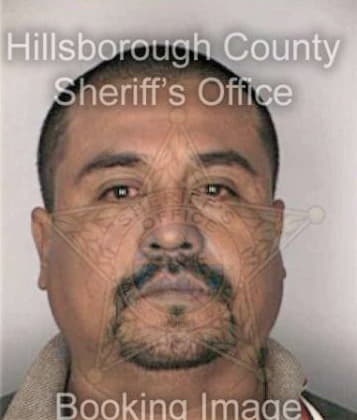 Abelardo Carbajal, - Hillsborough County, FL 