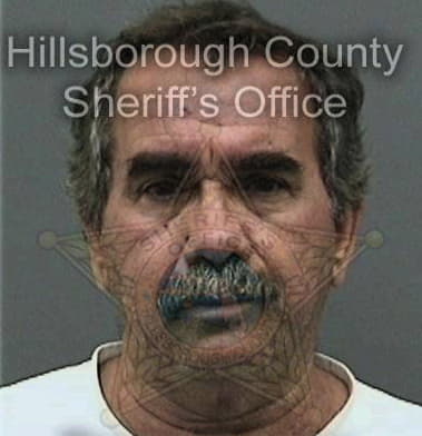 Luis Cervantesangeles, - Hillsborough County, FL 