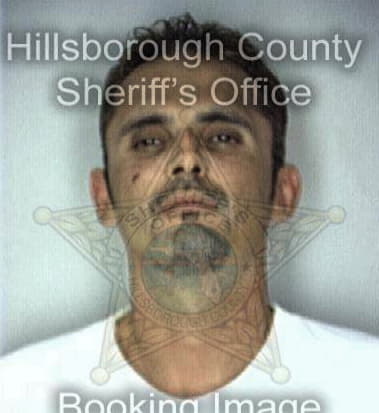 Terry Dailey, - Hillsborough County, FL 