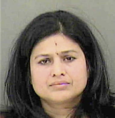 Palek Desai, - Mecklenburg County, NC 