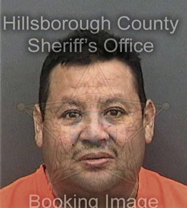 David Dipaolo, - Hillsborough County, FL 