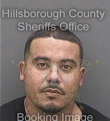 Anier Figueredo, - Hillsborough County, FL 