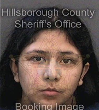 Amanda Foleyroberts, - Hillsborough County, FL 