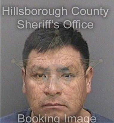 Michael Forehand, - Hillsborough County, FL 