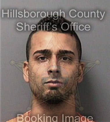 Rafael Melendezhernandez - Hillsborough County, FL 