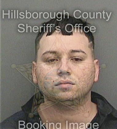 Enrique Merinofigueroa - Hillsborough County, FL 