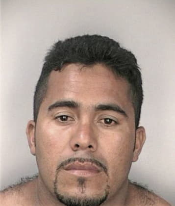Cornelius Mielich - Hillsborough County, FL 
