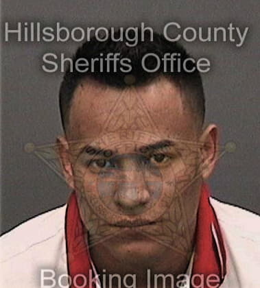 Steven Santiago, - Hillsborough County, FL 