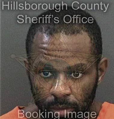 Deterrio Young, - Hillsborough County, FL 