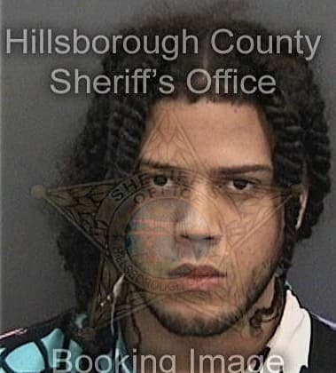 Jonathan Borrell - Hillsborough County, FL 