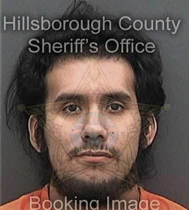 Luis Charon - Hillsborough County, FL 