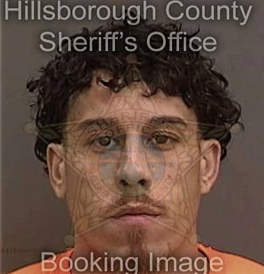 Ruben Diaz, - Hillsborough County, FL 