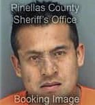 Pedro Gonzalez, - Pinellas County, FL 