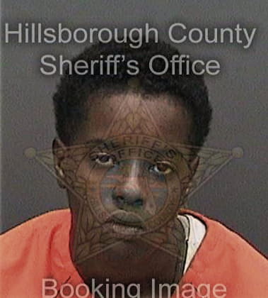 Lakita Hicks - Hillsborough County, FL 