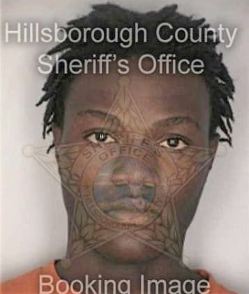 Allen Killings, - Hillsborough County, FL 