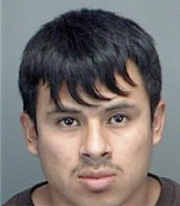 Benjamin Sanchezcordova, - Pinellas County, FL 