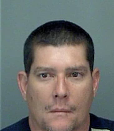 Nicholas Sandovalrivera, - Pinellas County, FL 