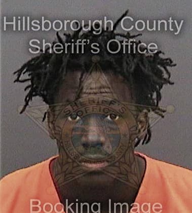 Desmond Simmons, - Hillsborough County, FL 