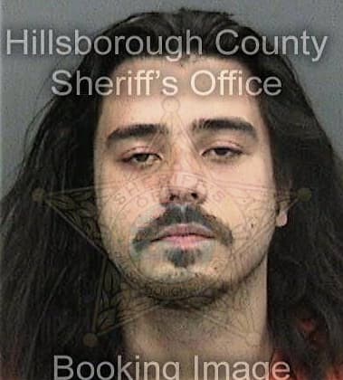 Patrick Armstrong, - Hillsborough County, FL 