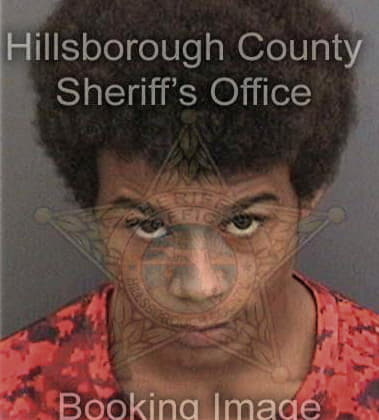 Earl Blanchett - Hillsborough County, FL 