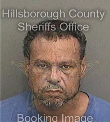 Michael Davis, - Hillsborough County, FL 