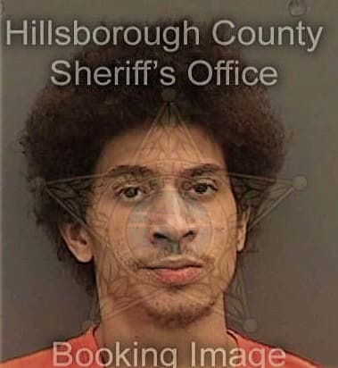 Ricardo Joseph, - Hillsborough County, FL 