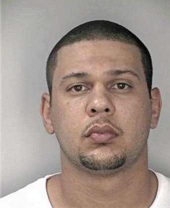 Christopher McLendon - Hillsborough County, FL 