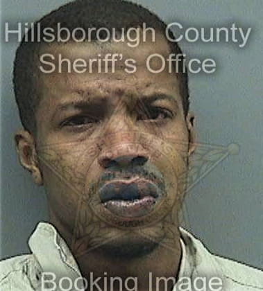 Michael Mitchell - Hillsborough County, FL 