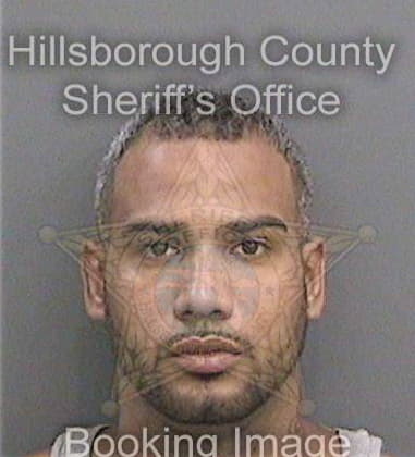 Dominic Tartaglia - Hillsborough County, FL 