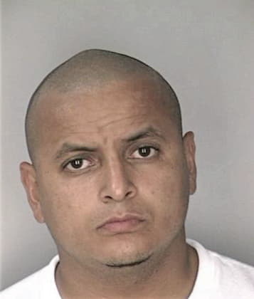 Peter Bonfiglio - Hillsborough County, FL 