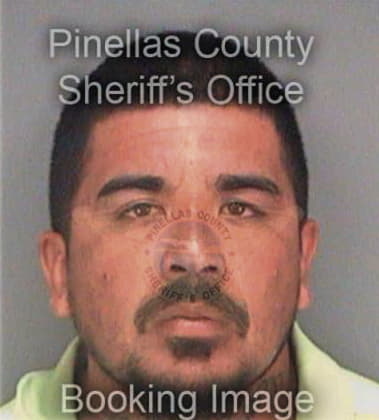 Juan Bonillamejias, - Pinellas County, FL 