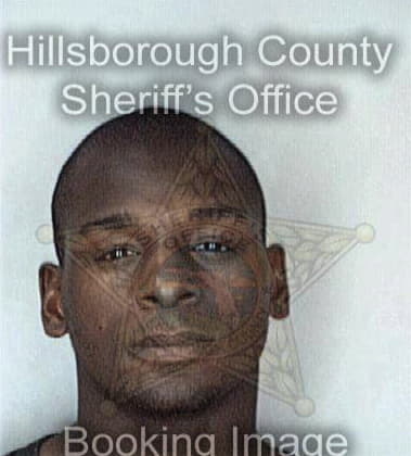 Tyrone Bulmer, - Hillsborough County, FL 