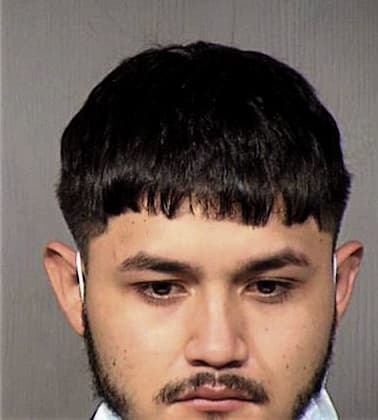 Fernando Castro - Maricopa County, AZ 