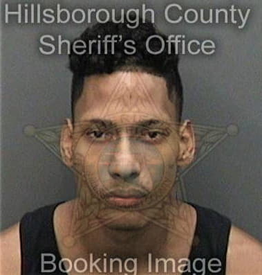 Christopher Davis, - Hillsborough County, FL 